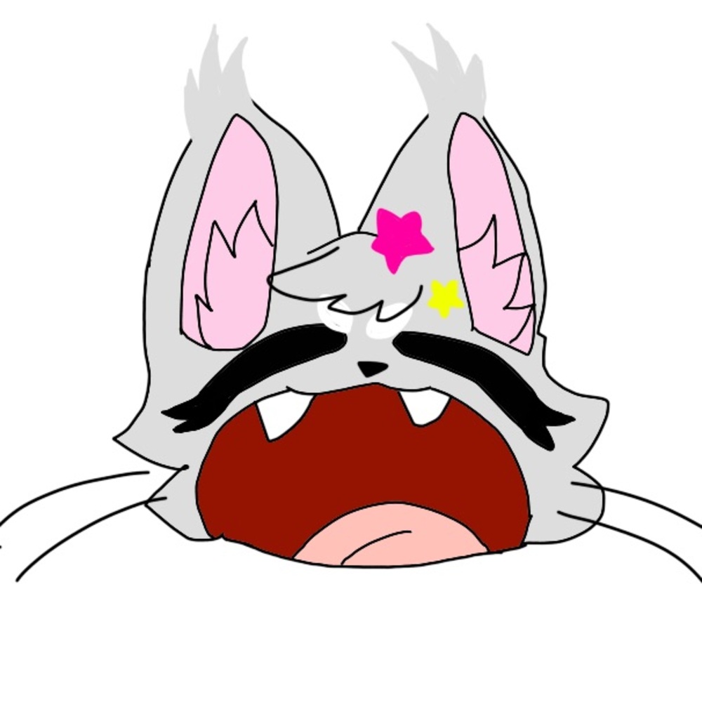 Hi! 😸👋 I have a TikTok too :3